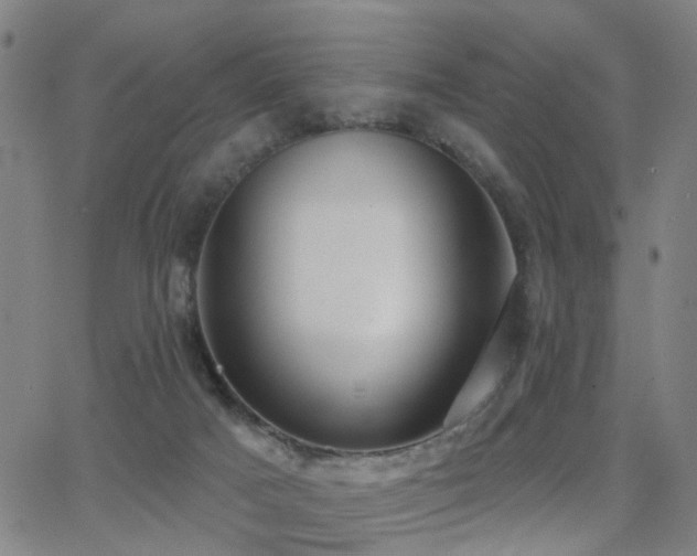 X0000062860025200601131427