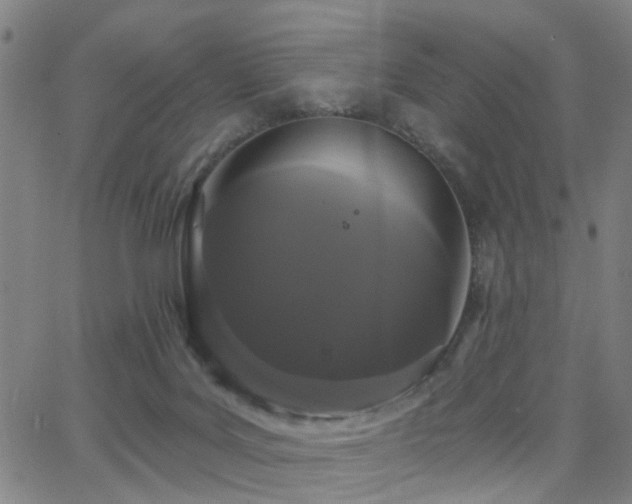 X0000062860027200601131427