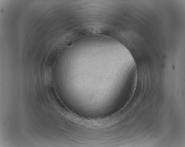 X0000062860030200601131427