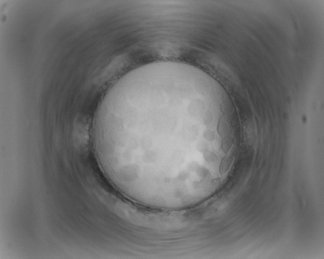X0000062860032200601131427