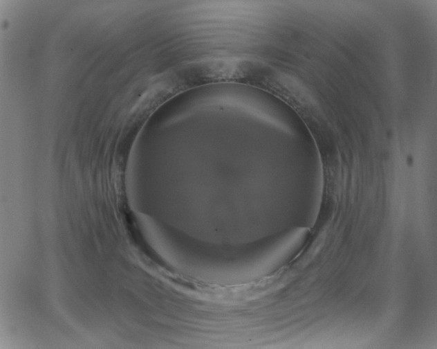 X0000062860035200601131427