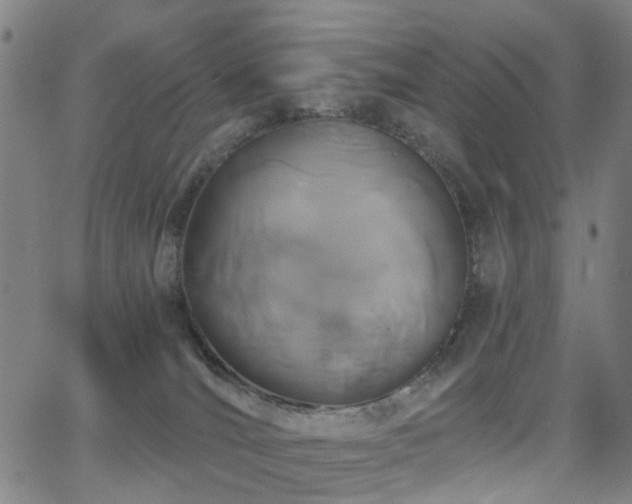 X0000062860036200601131427