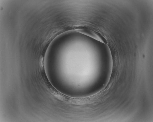X0000062860041200601131427
