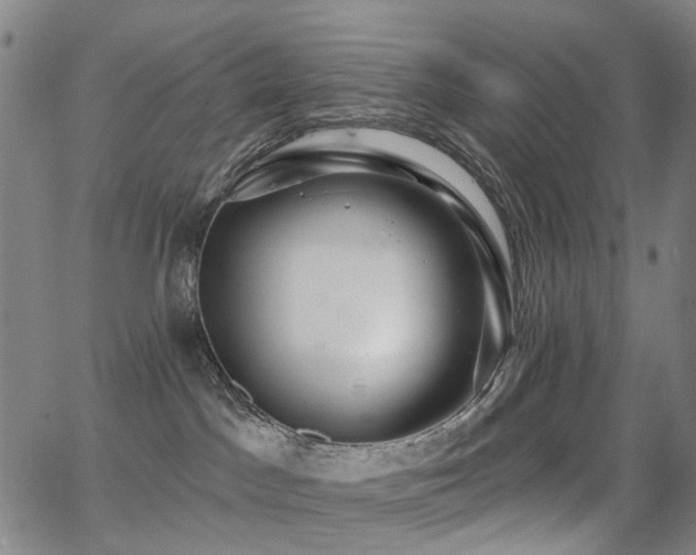 X0000062860045200601131427