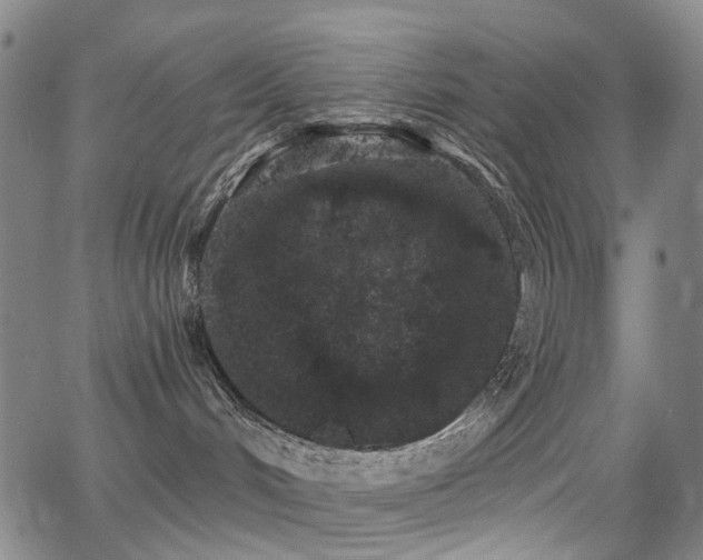 X0000062860048200601131427