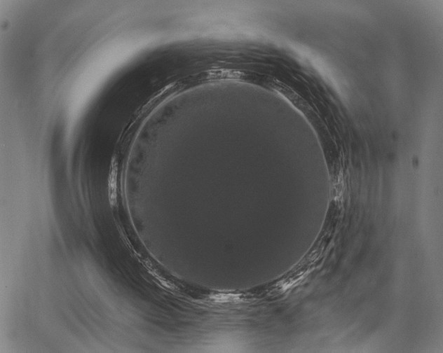 X0000062860052200601131426