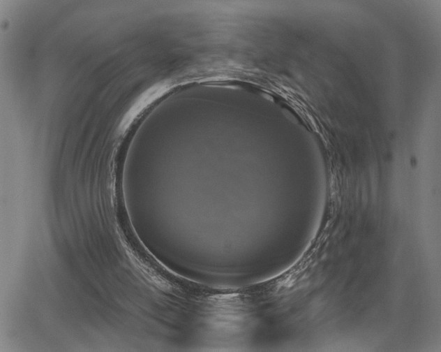 X0000062860054200601131426