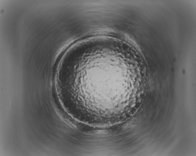 X0000062860059200601131426
