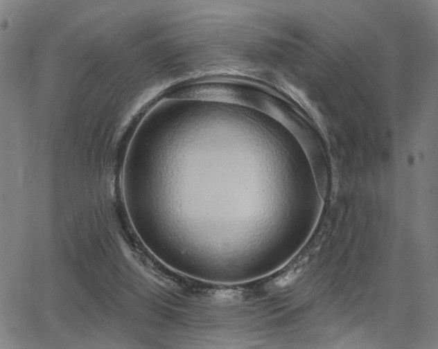 X0000062860060200601131426
