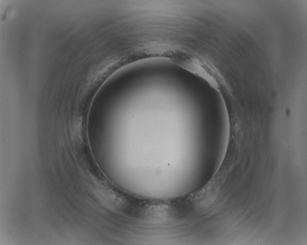 X0000062860066200601131426