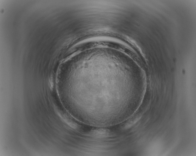 X0000062860069200601131426
