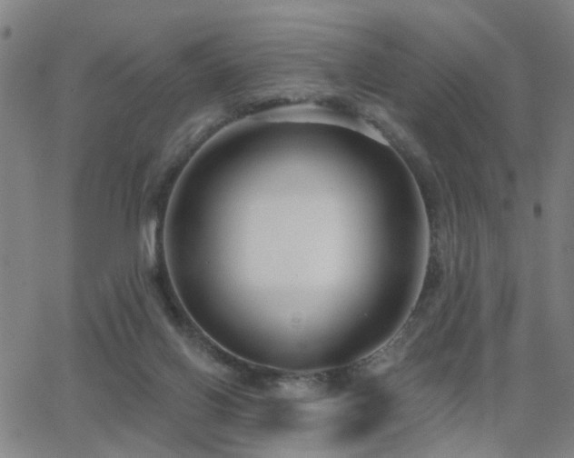 X0000062860070200601131426