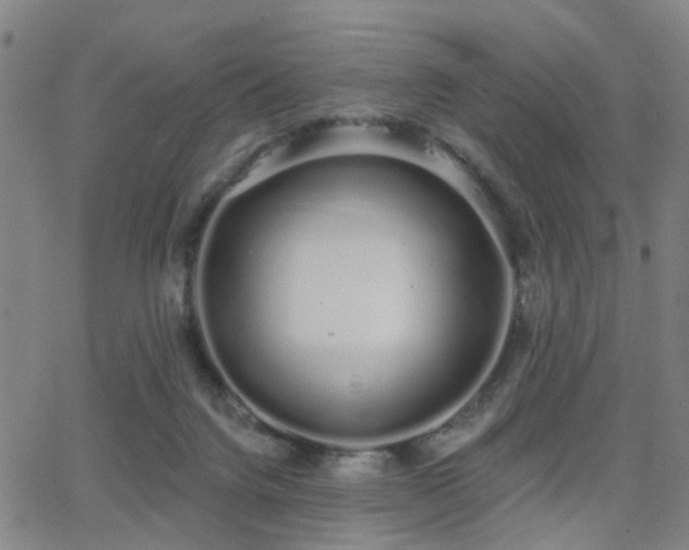 X0000062860072200601131426