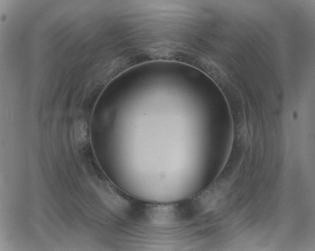X0000062860081200601131426