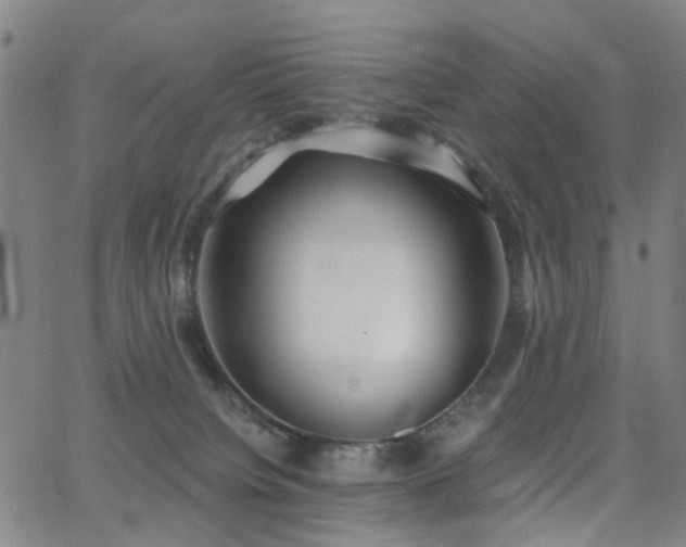 X0000062860084200601131426