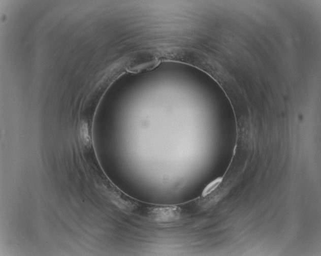 X0000062860089200601131427