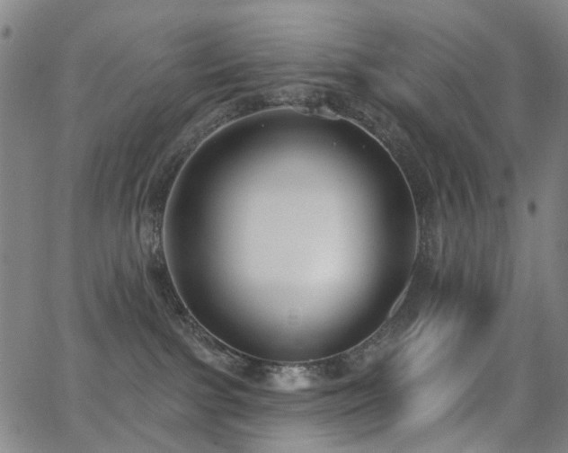 X0000062860091200601131427