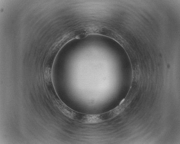 X0000062860093200601131427