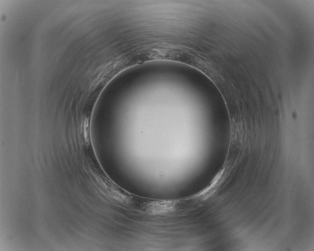 X0000062860094200601131427