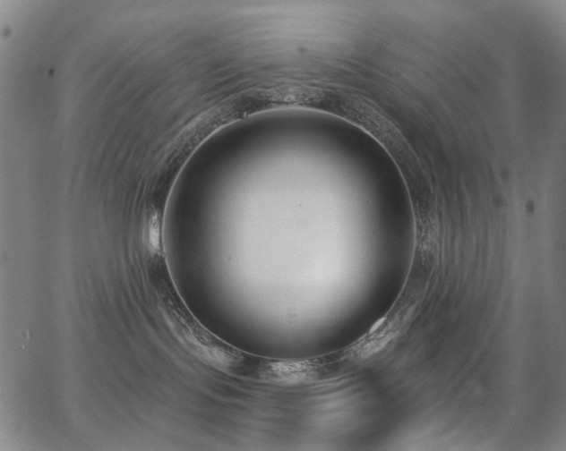 X0000062860095200601131427
