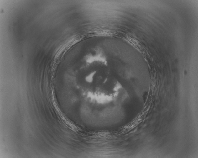 X0000062860097200601131426