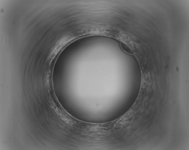 X0000062860098200601131426