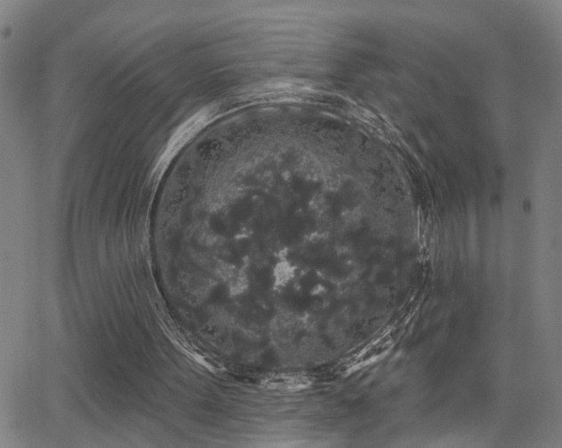 X0000062860099200601131426