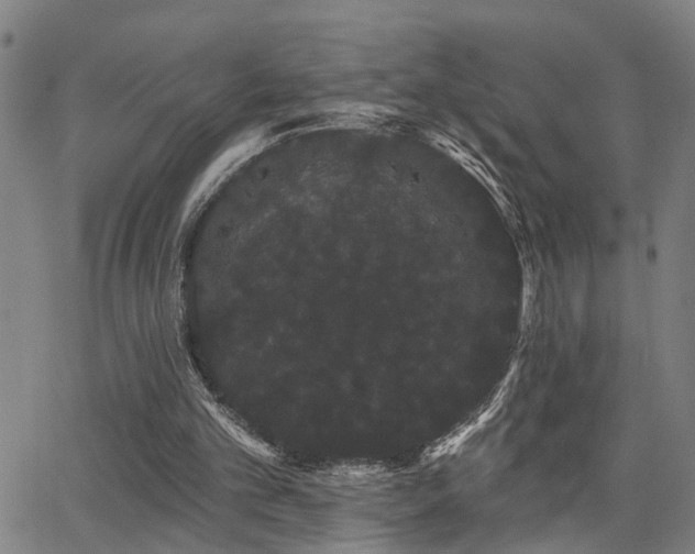 X0000062860101200601131426