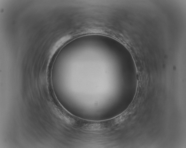 X0000062860104200601131426
