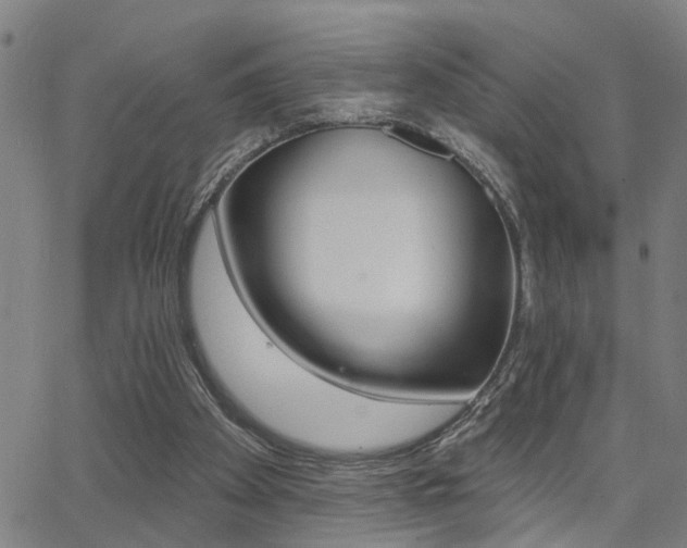 X0000062860105200601131426