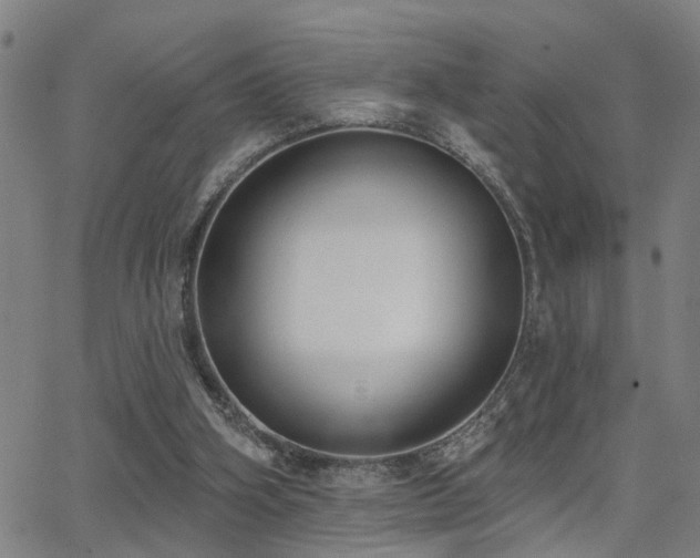 X0000062860106200601131426