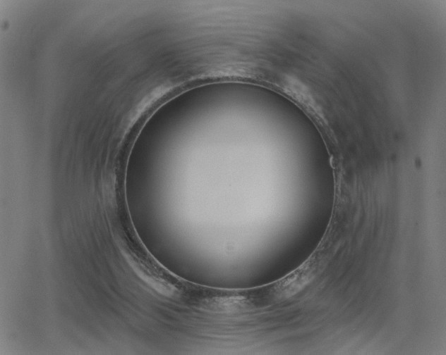 X0000062860108200601131426