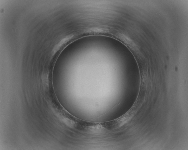 X0000062860112200601131426