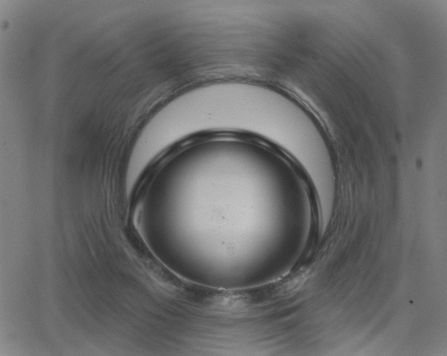 X0000062860117200601131426