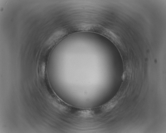 X0000062860118200601131425