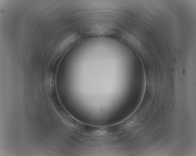 X0000062860119200601131425