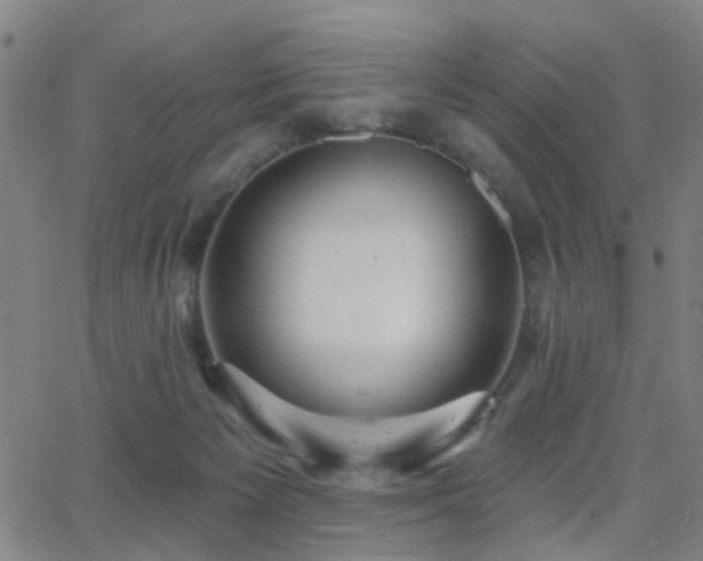 X0000062860125200601131425