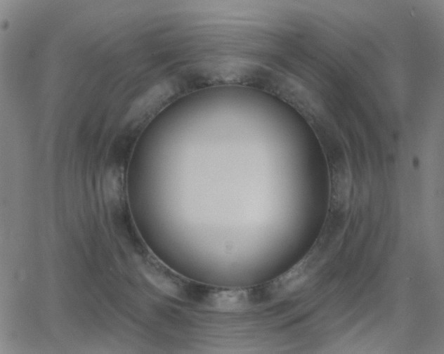 X0000062860126200601131425