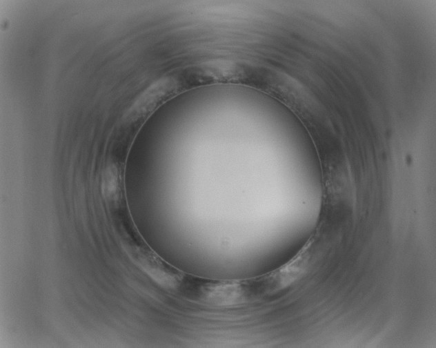 X0000062860132200601131425