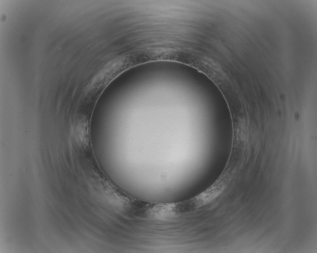 X0000062860138200601131425