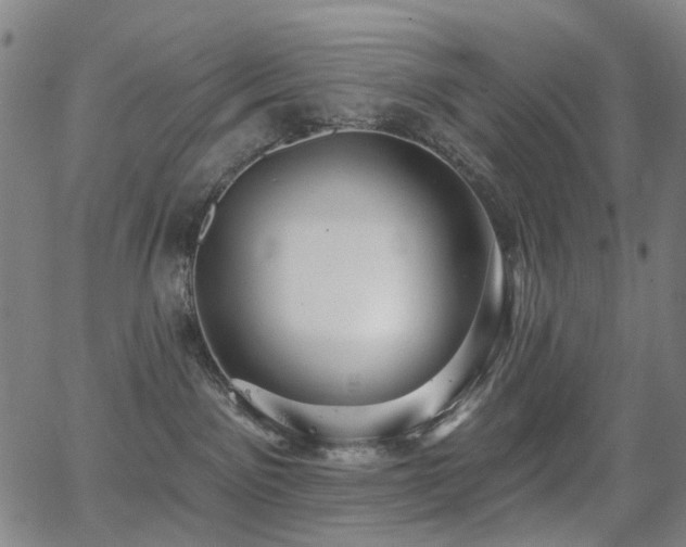 X0000062860141200601131425