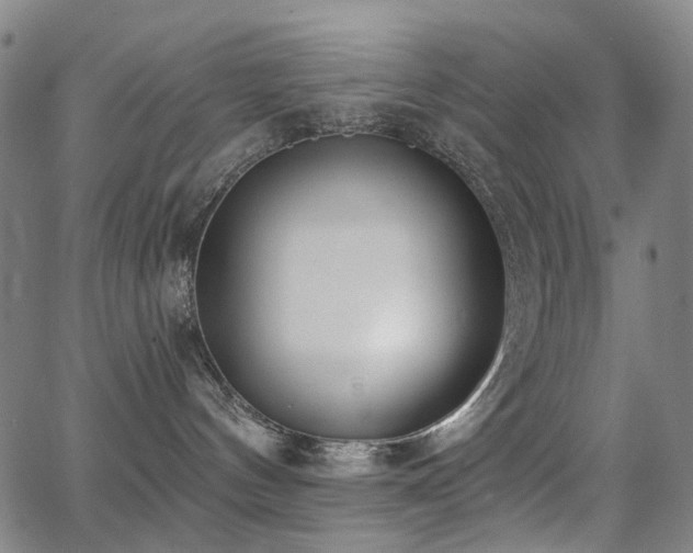 X0000062860144200601131425