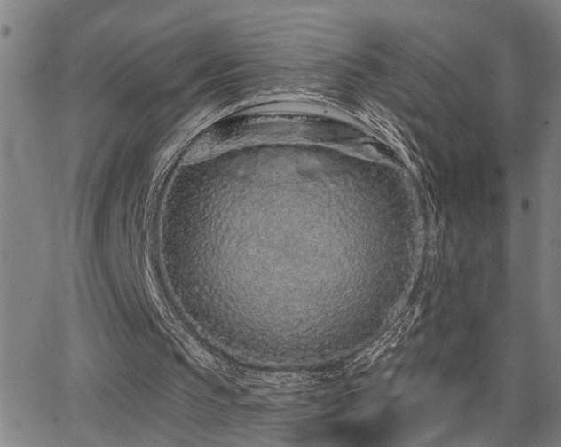 X0000062860145200601131424