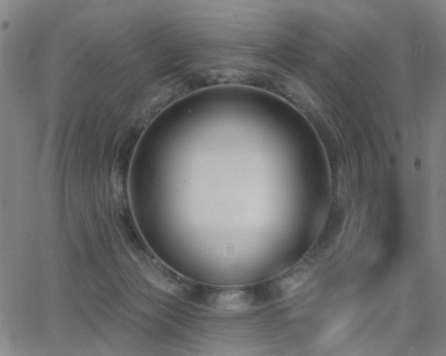 X0000062860173200601131425