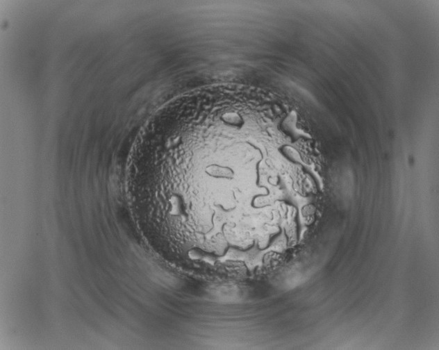 X0000062860181200601131425