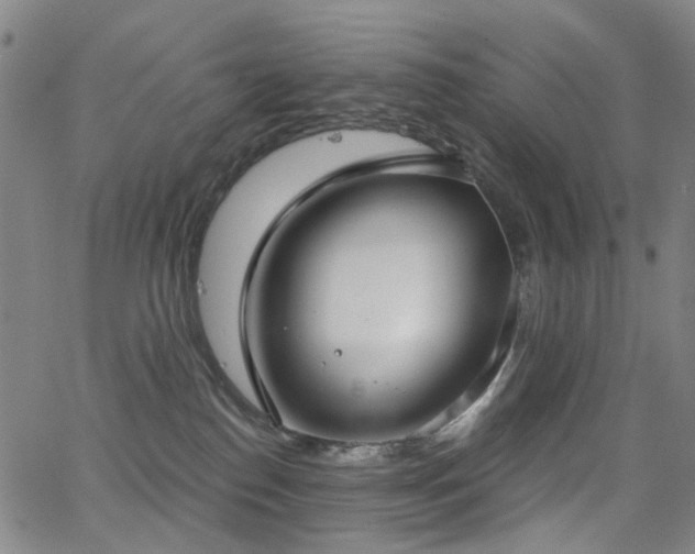 X0000062860186200601131425