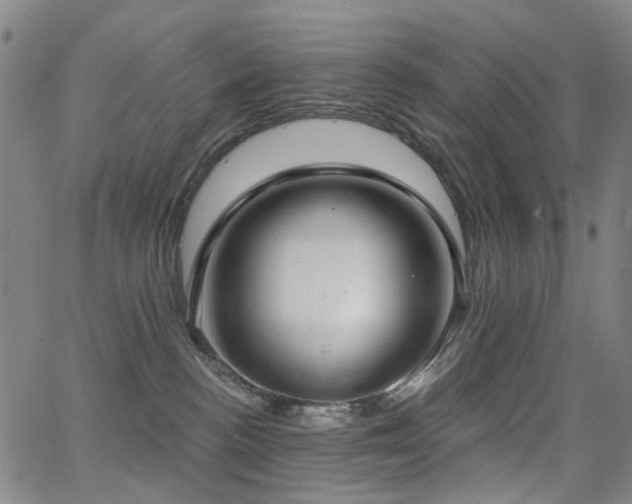 X0000062860188200601131425