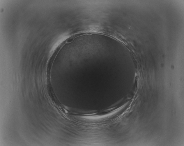 X0000062860200200601131424