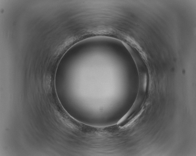 X0000062860201200601131424
