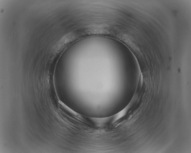 X0000062860207200601131424